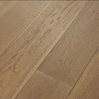 Picture of Anderson - Noble Hall Majesty