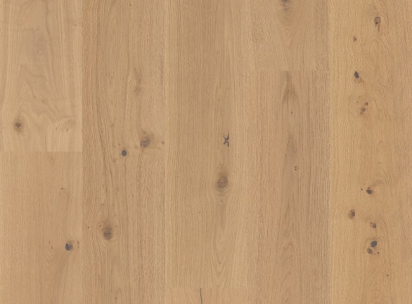 Picture of Anderson - Grand Estate Thorndon Hall