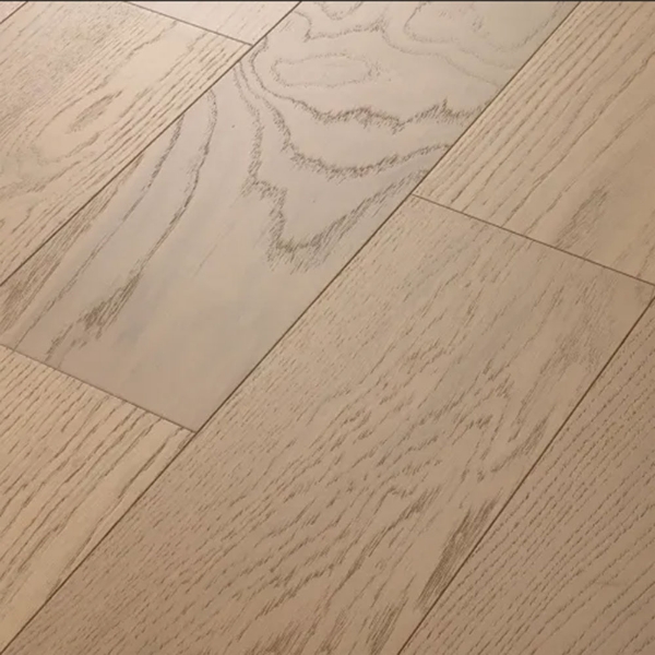 Picture of Anderson - Noble Hall Reine