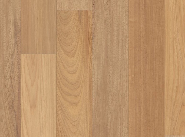 Picture of Anderson - Brasilia Ipanema