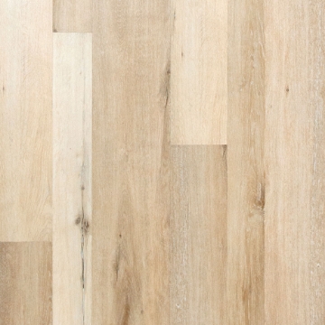 Show details for Johnson - Sicily Messina Picture of Johnson - Sicily Messina