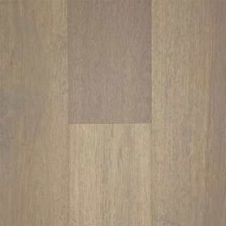 Picture of LM Flooring - Bentley Premier Champagne