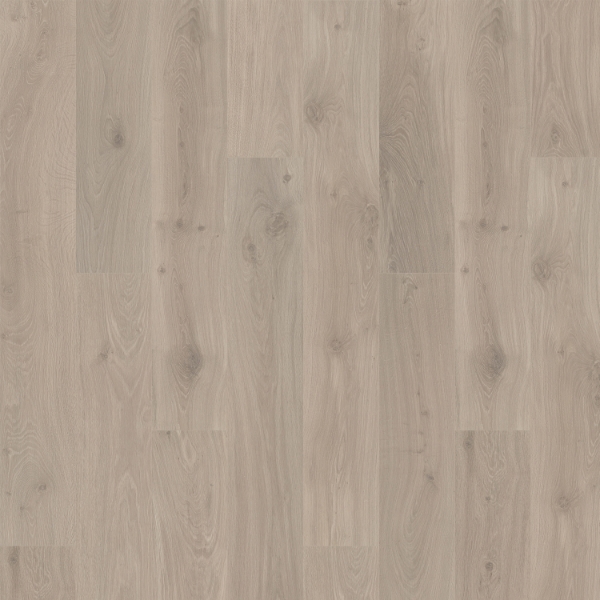 Picture of Quick-Step - Ellicott Point Caligraphy Oak