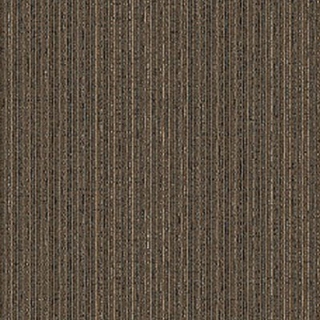 Picture of Aladdin Commercial - Clarify Persuade