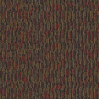 Picture of Aladdin Commercial - Compel Designate