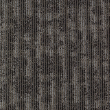 Picture of Aladdin Commercial - Cool Calm Insightful