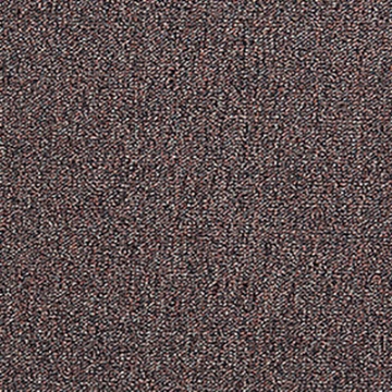 Picture of Aladdin Commercial - Scholarship II Tomato