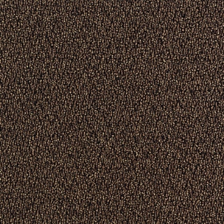 Picture of Aladdin Commercial - Walk The Walk Walnut