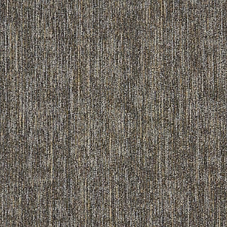 Picture of Aladdin Commercial - Here to There Trail