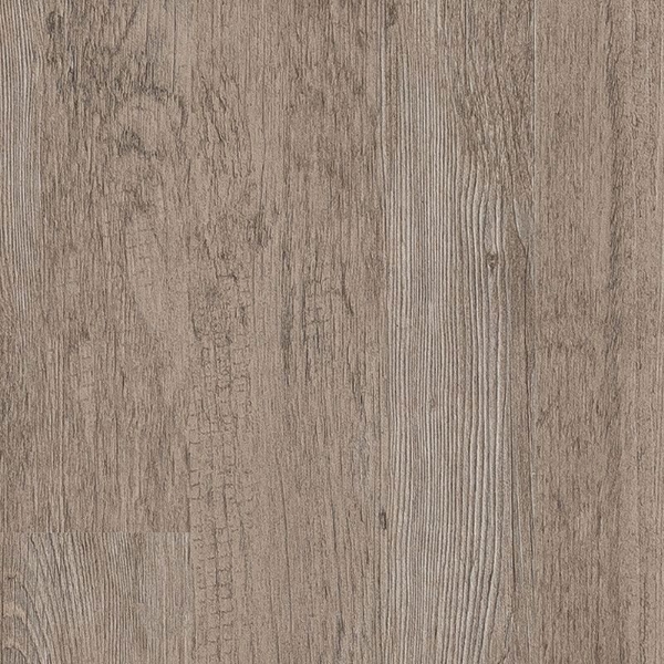 Picture of Aladdin Commercial - Master Scale Sin Leche