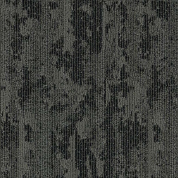 Picture of Aladdin Commercial - Rhythmic Wave Espresso Beans