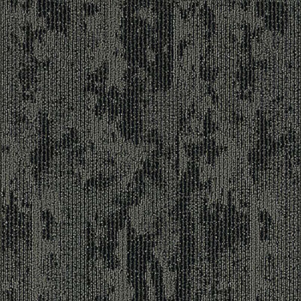 Picture of Aladdin Commercial - Rhythmic Wave Espresso Beans