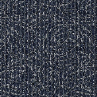 Picture of Aladdin Commercial - Meandering Trail Bay