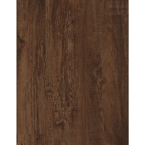 Picture of Aladdin Commercial - Familiar Frontier II Plus Sienna