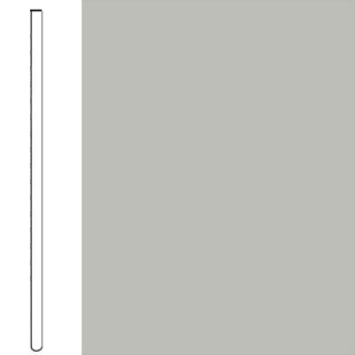 Picture of Flexco - Wall Base Straight .080 4 Fjord