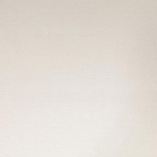 Picture of Daltile - PZazz 12 x 24 White Ritz