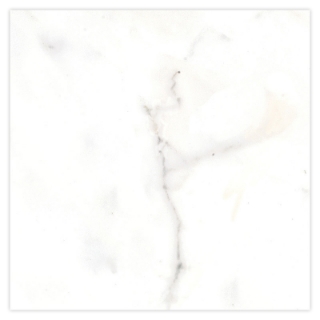 Picture of Tesoro - Classic 12 x 12 Calacatta