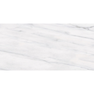 Picture of Tesoro - Classic 12 x 24 Carrara