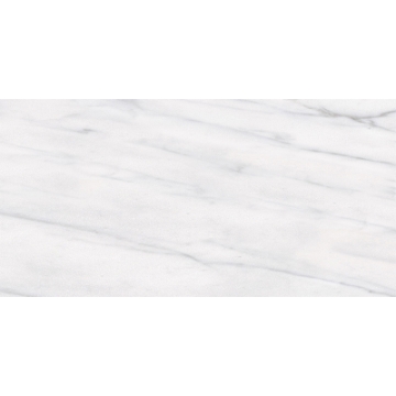 Picture of Tesoro - Classic 12 x 24 Carrara