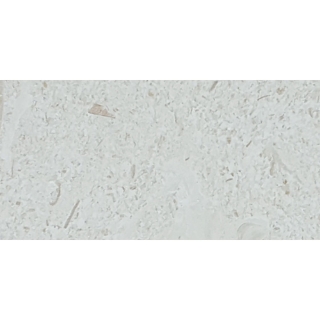 Picture of Tesoro - Pietra Antica Antiqued Stones 4 x 8 Sand Key Shellstone