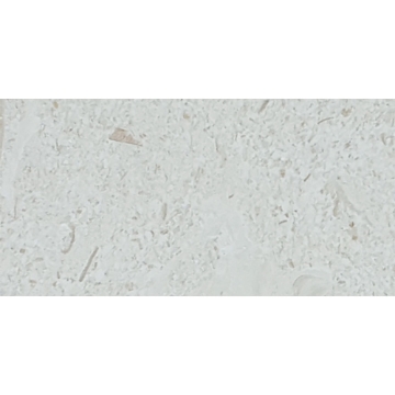 Picture of Tesoro - Pietra Antica Antiqued Stones 4 x 8 Sand Key Shellstone