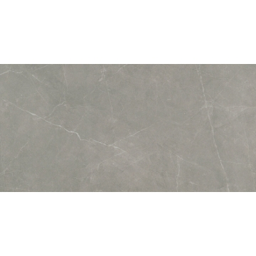 Picture of Emser Tile - Sterlina II 12 x 24 Polished Dove