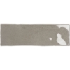 Picture of Emser Tile - Passion 3 x 8 Gris