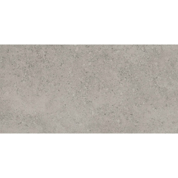 Picture of Tesoro - Shellstone 12 x 24 Grey