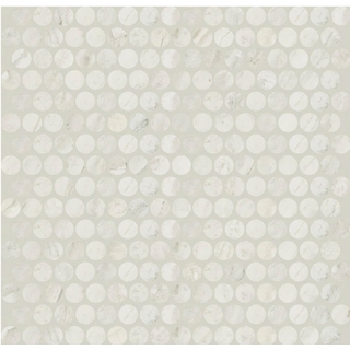 Picture of Daltile - Famed Penny Round Matte Mosaic Iconic