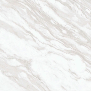 Picture of Daltile - Perpetuo 24 x 24 Polished Timeless White