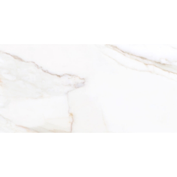 Picture of Tesoro - Paonazzo 12 x 24 Calacatta Gold Polished