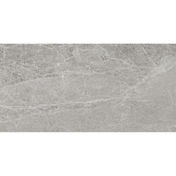 Picture of Tesoro - Advance 12 x 24 Silver