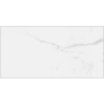 Picture of Tesoro - Avalon 12 x 24 Statuario Grey