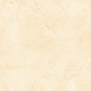 Picture of Tesoro - Bejha 12 x 24 Fiorito Polished