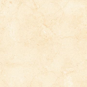 Picture of Tesoro - Bejha 12 x 24 Fiorito Polished