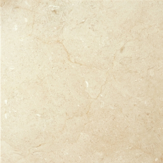 Picture of Emser Tile - Marble 24 x 24 Polished Crema Marfil Plus
