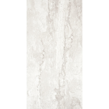 Picture of Tesoro - Tivolazio 12 x 24 Silver Matte