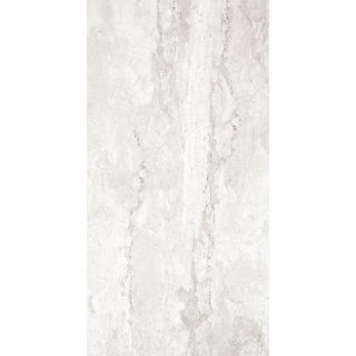 Picture of Tesoro - Tivolazio 12 x 24 Silver Polished