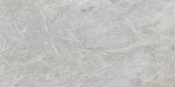 Picture of Emser Tile - Milestone R11 Moon Rectified