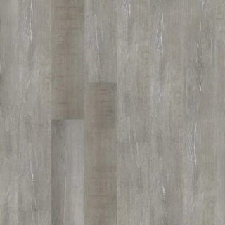 Picture of Chesapeake Flooring - ProSolutions SPC 20 Plank Rayburn