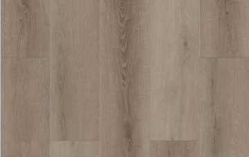 Picture of Lions Floor - Bambino Coffee Feather