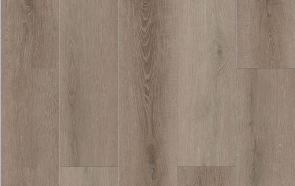 Picture of Lions Floor - Bambino Coffee Feather