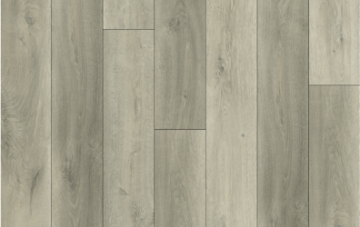 Picture of Lions Floor - Bambino Rivoli