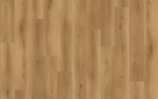 Picture of Lions Floor - Canyon Coast Altitude Trail