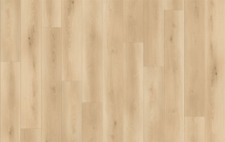 Picture of Lions Floor - Canyon Coast Wilderness Whispers