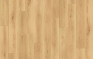 Picture of Lions Floor - Canyon Coast Summit Shoreline