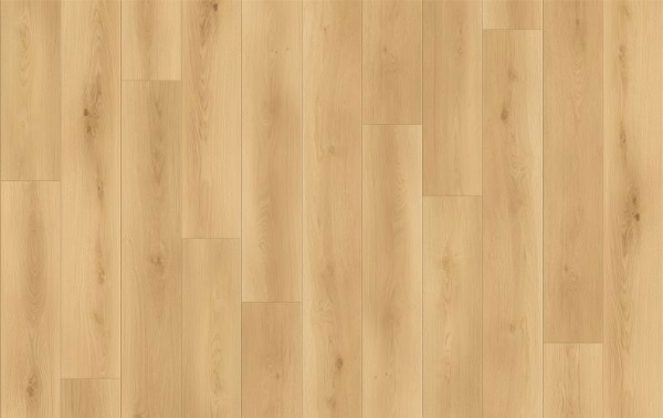 Picture of Lions Floor - Canyon Coast Summit Shoreline