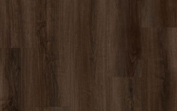 Picture of Lions Floor - Comfort Heights River Walk