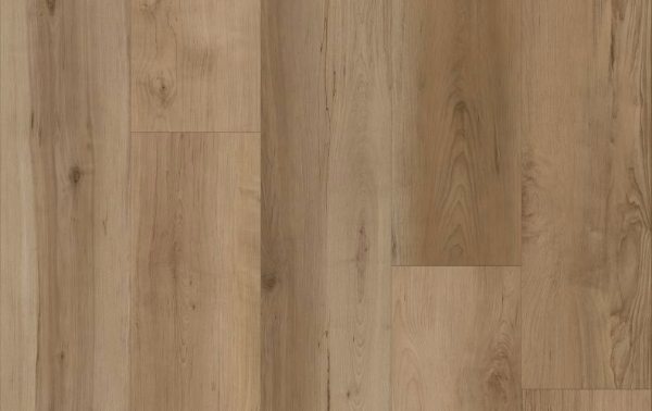 Picture of Lions Floor - Comfort Heights Maple Gardens