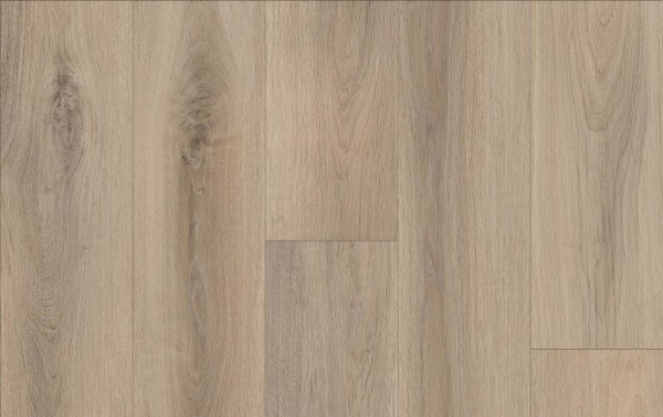 Picture of Lions Floor - Comfort Heights Cedar View